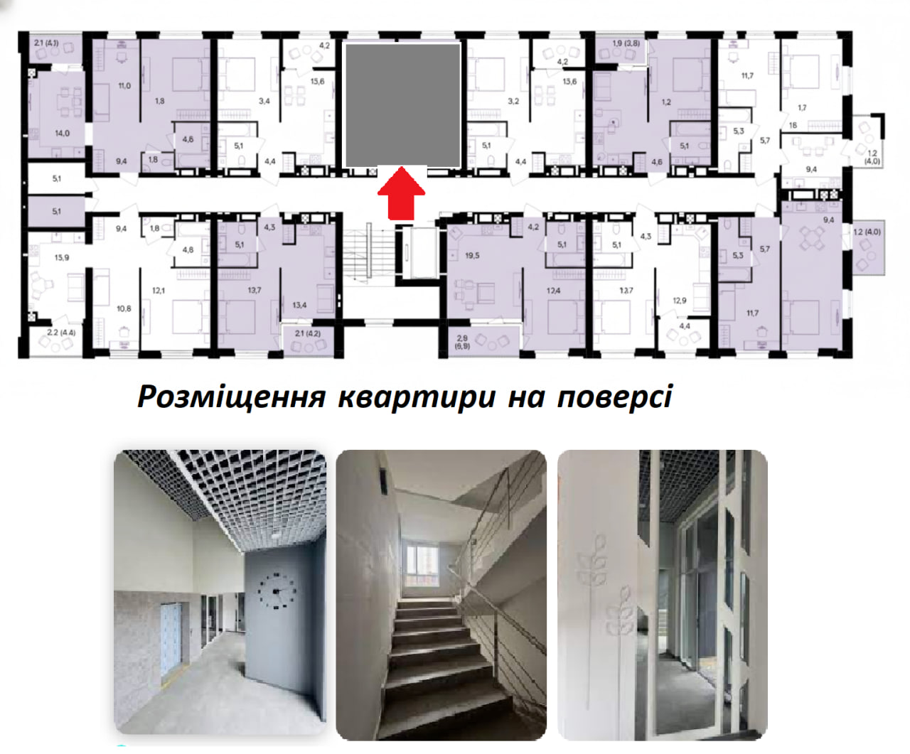 Схема планування поверху ЖК Лаванда Парк
